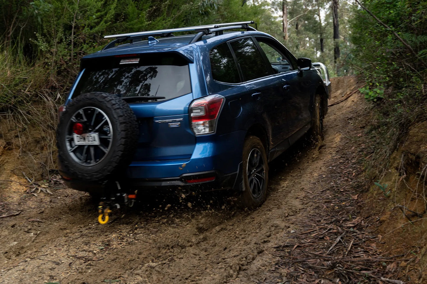 Navigate the vibrant tapestry of the Australian forest with this Subaru Forester, ready for adventure with its sturdy tilting spare wheel carrier.